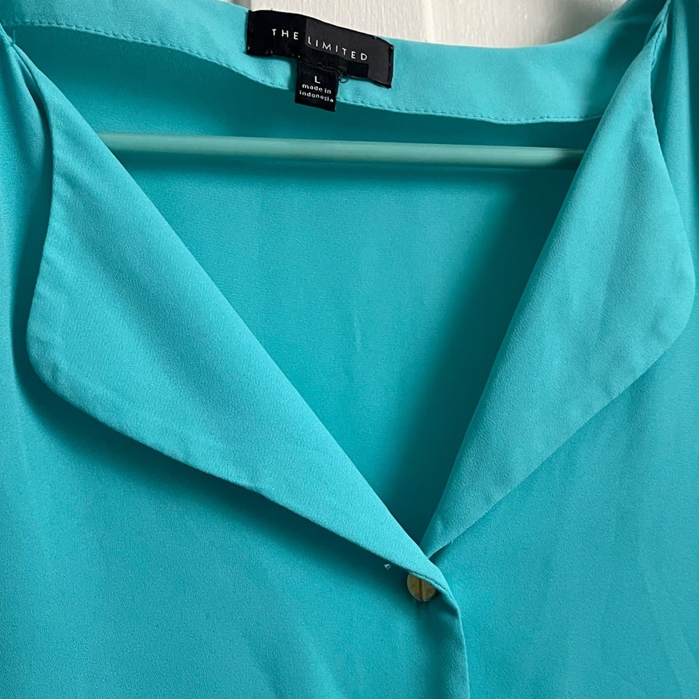 The Limited button down blouse - Picture 6 of 11
